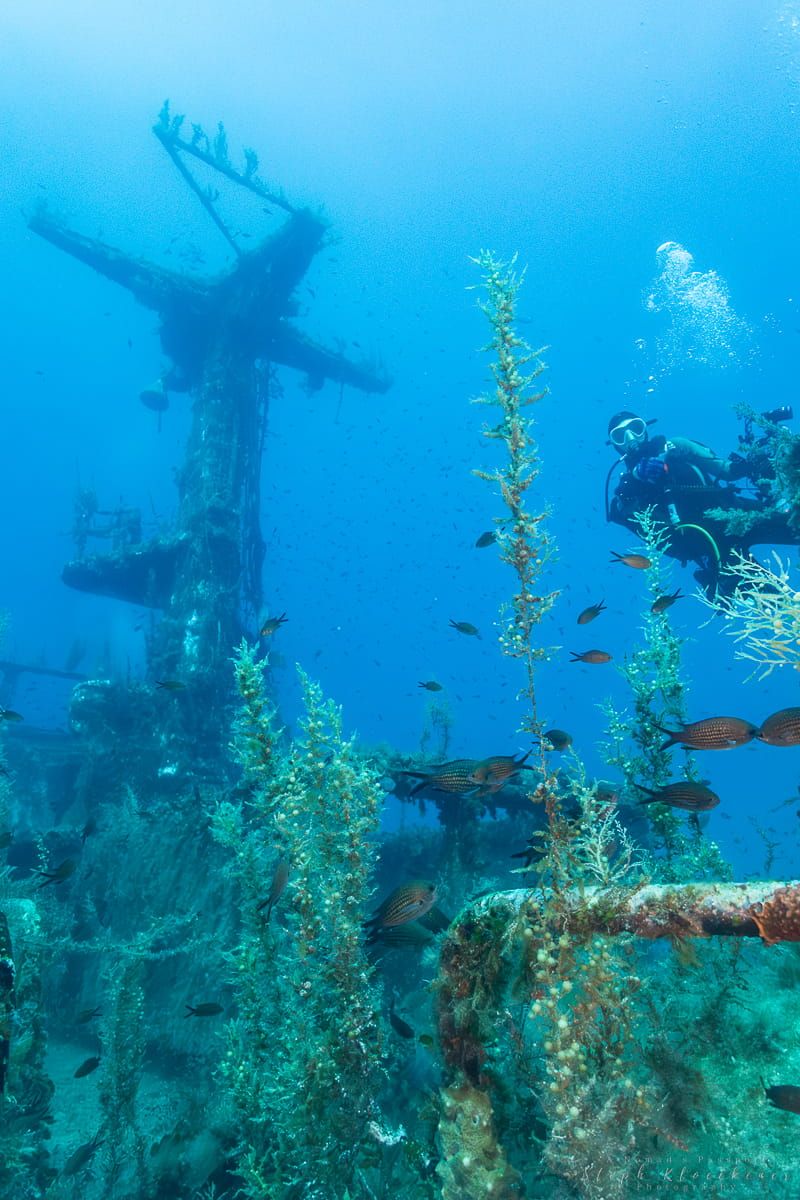 Diving Excursion
