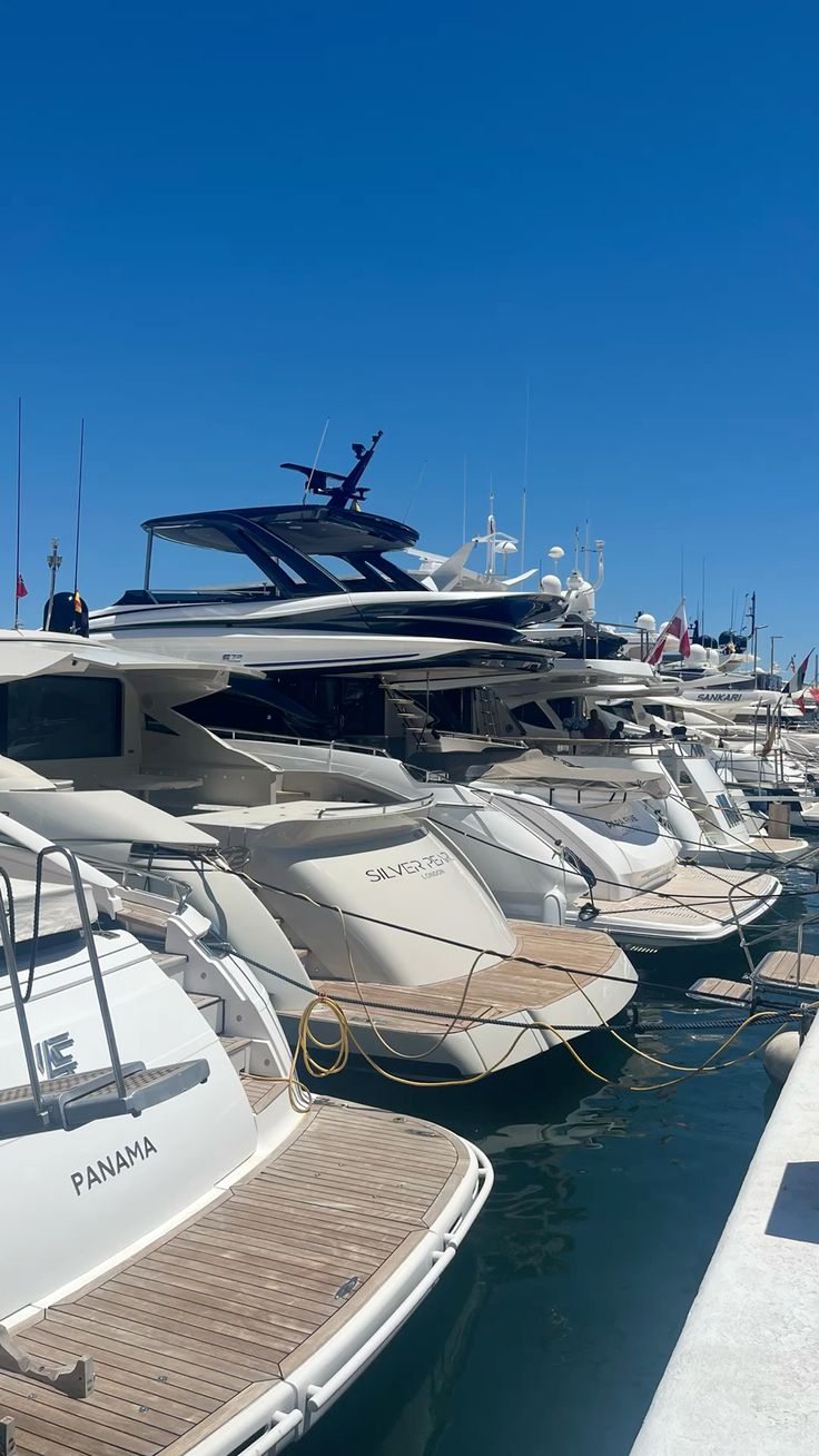 Yacht Rental